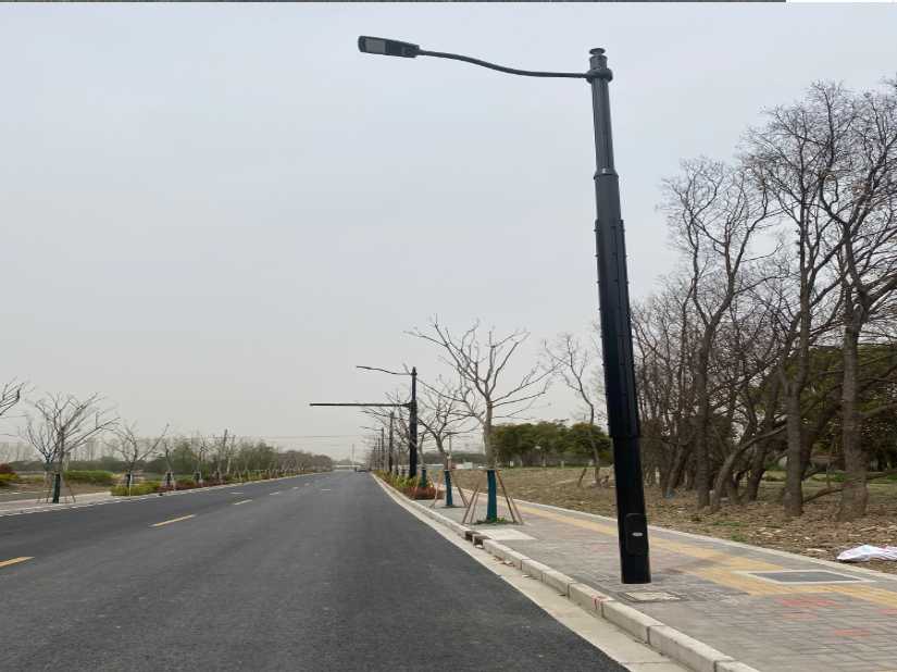 南和区上海综合杆 太阳能路灯工程